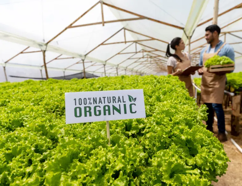Global Market Demands: Navigating the Future of Organic Food Exports 1 Organic Food Exports