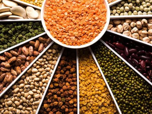 Pulses Supply Chain