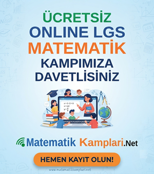 Online Matematik Kampları