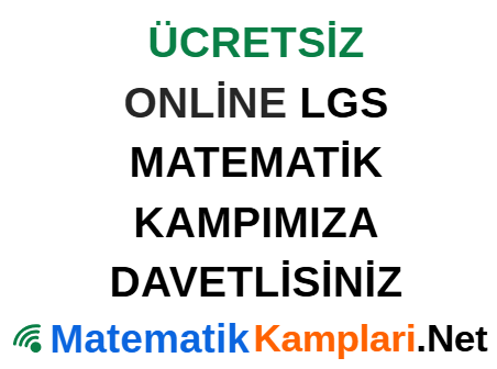 Online Matematik Kampları